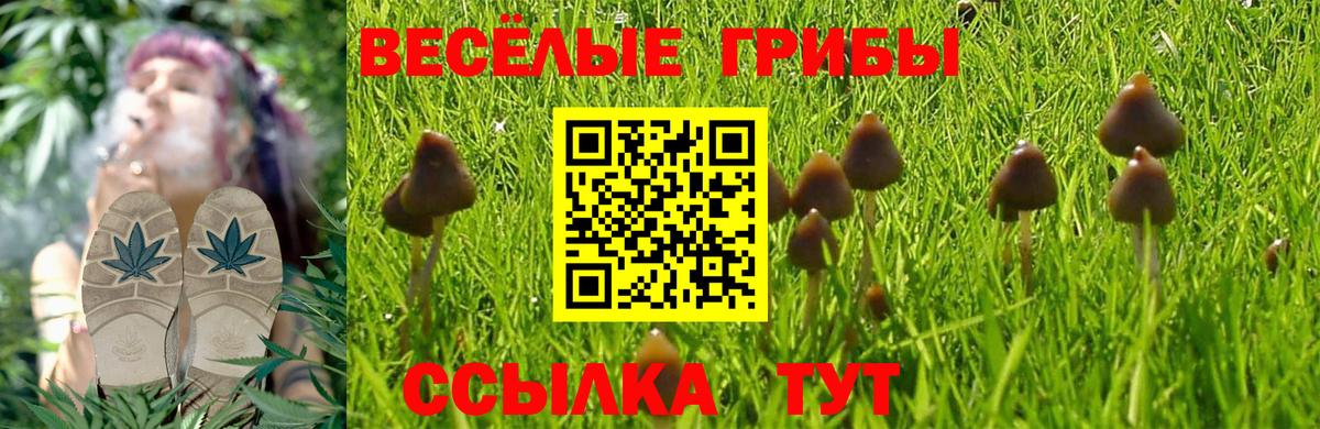 Ижевск  Галлюциногенные грибы MAGIC MUSHROOMS  Вход с VPN 