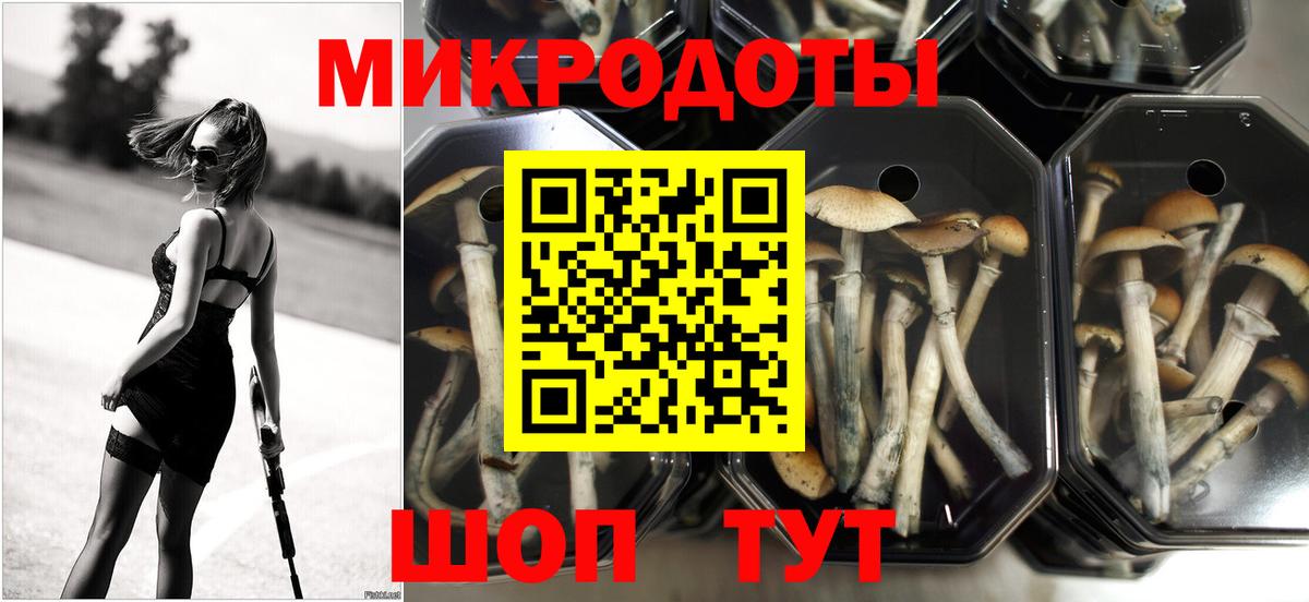 Галлюциногенные грибы прущие грибы Ижевск